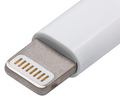 8 pin Apple Lightning proprietary photo