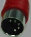 5 pin DIN male photo