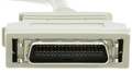 36 pin half-pitch Centronics (HPCN36) MDR 36 male photo