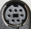 7 pin mini-DIN female (key in the center) photo