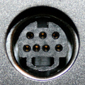 7 pin mini-DIN female photo