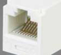 8 pin RJ45 (8P8C) female photo