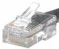8 pin RJ45 (8P8C) male photo