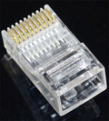 10 pin RJ50 (10P10C) male photo