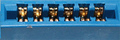 12 pin SNES EDGE proprietary photo