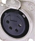 4 pin XLR female photo